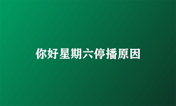 你好星期六停播原因