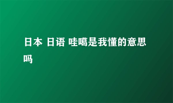 日本 日语 哇噶是我懂的意思吗