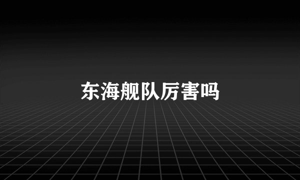 东海舰队厉害吗