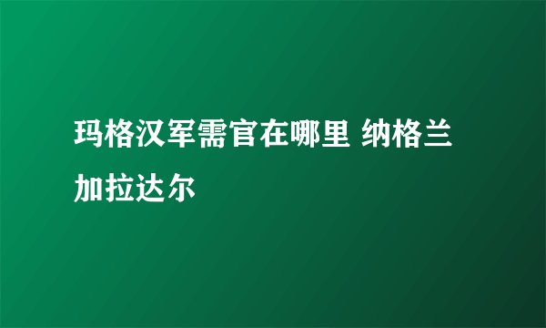 玛格汉军需官在哪里 纳格兰加拉达尔