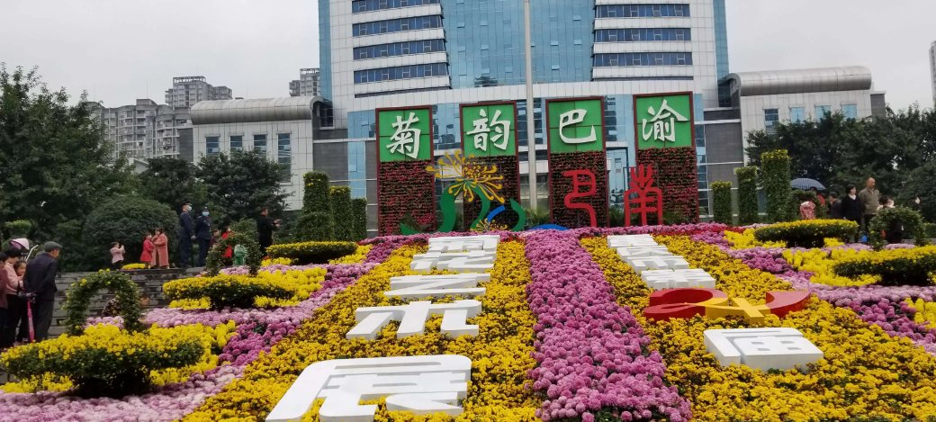 巴南区社保局电话