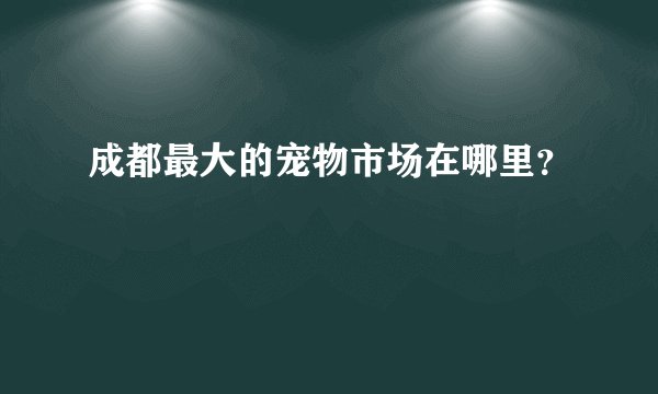 成都最大的宠物市场在哪里？