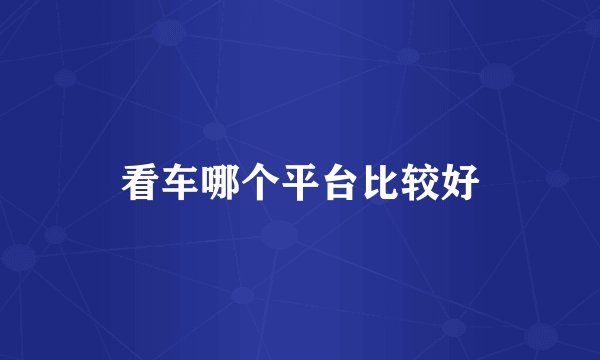看车哪个平台比较好
