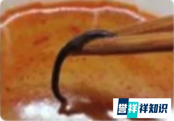 杨国福麻辣烫被曝吃出蚯蚓：洗菜阿姨年龄大没看清楚