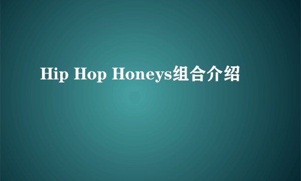 Hip Hop Honeys组合介绍