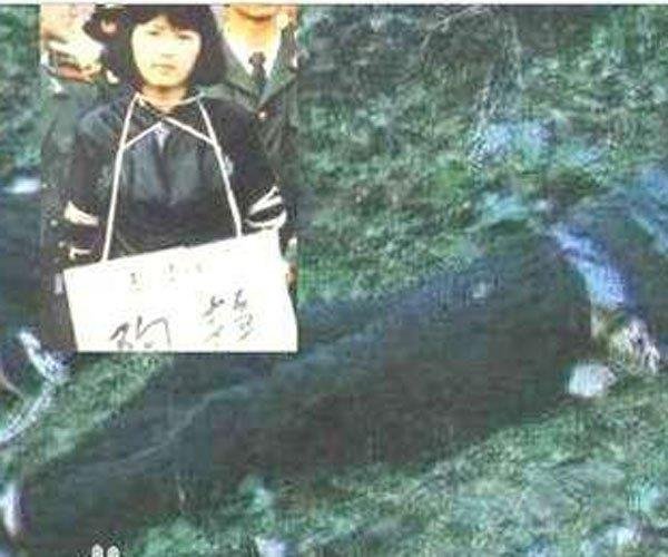 陶静案件详细介绍是爱的太深害了这个女孩吗