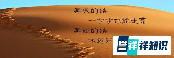 大学英语四级是按排名比例过吗