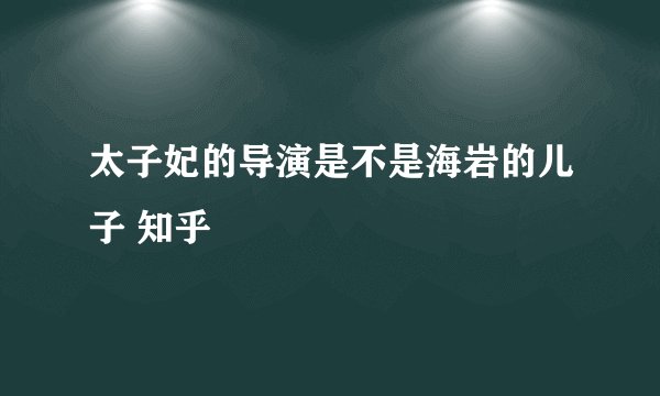 太子妃的导演是不是海岩的儿子 知乎
