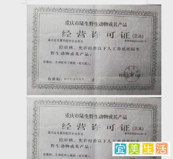民警吃野味喝茅台不付钱？饭店老板：带走4条蛇后又来吃蛇宴，上海警方介入调查