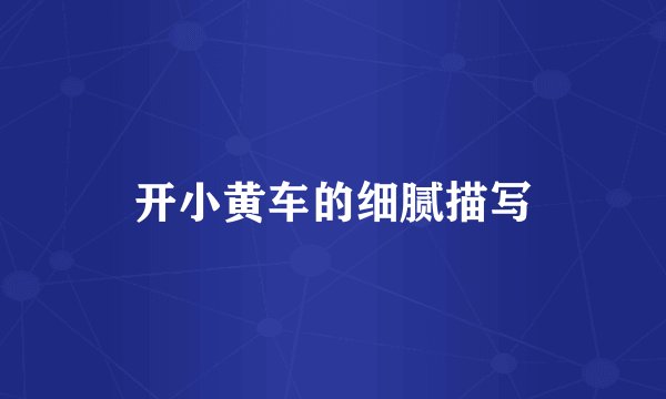 开小黄车的细腻描写