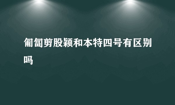 匍匐剪股颖和本特四号有区别吗