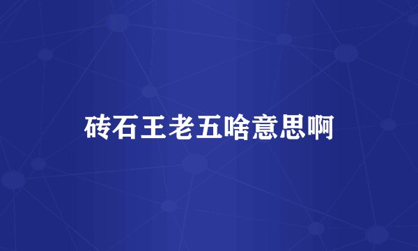 砖石王老五啥意思啊