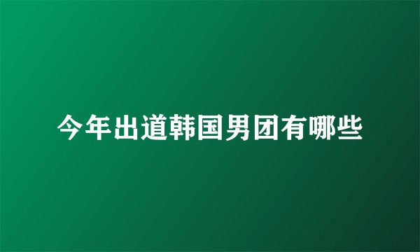 今年出道韩国男团有哪些
