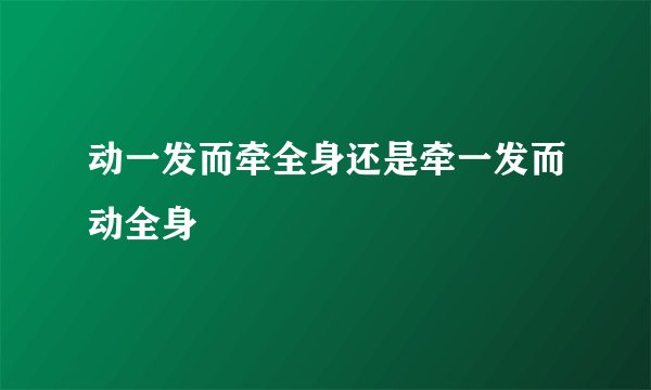 动一发而牵全身还是牵一发而动全身