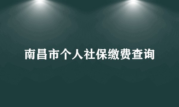 南昌市个人社保缴费查询