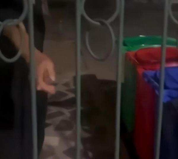 西安交大保安阻止学生用留学生专用垃圾桶还骂不懂事，学校回应了