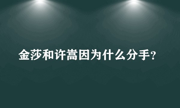 金莎和许嵩因为什么分手？