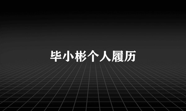 毕小彬个人履历