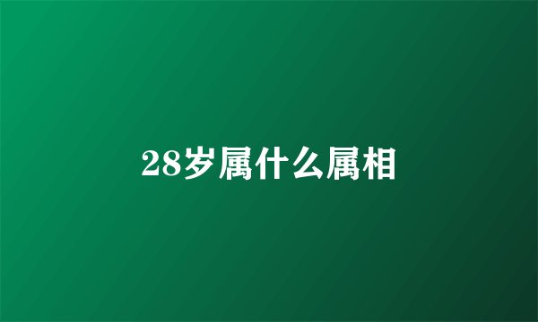 28岁属什么属相