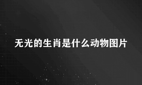 无光的生肖是什么动物图片