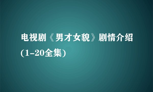 电视剧《男才女貌》剧情介绍(1-20全集)