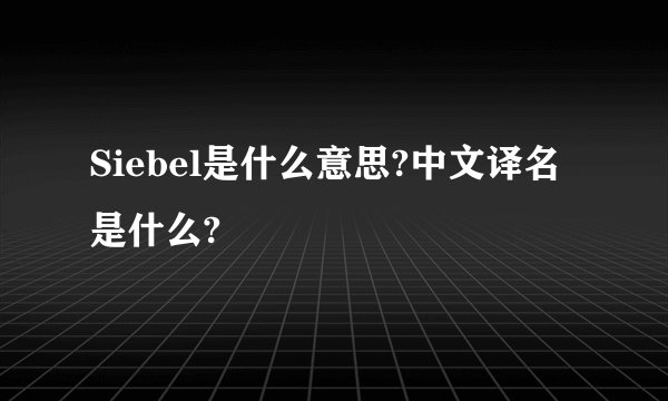 Siebel是什么意思?中文译名是什么?
