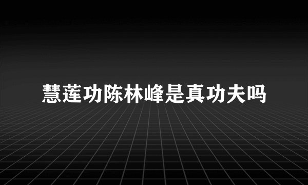 慧莲功陈林峰是真功夫吗