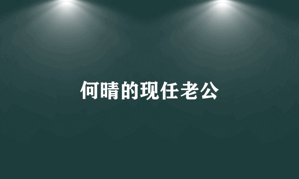 何晴的现任老公