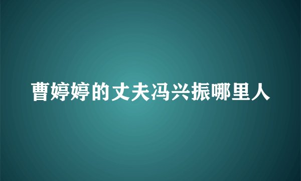 曹婷婷的丈夫冯兴振哪里人