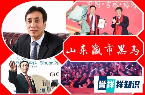 山东藏市“黑马”：创业6年IPO，开创百亿帝国，3次问鼎海南首富