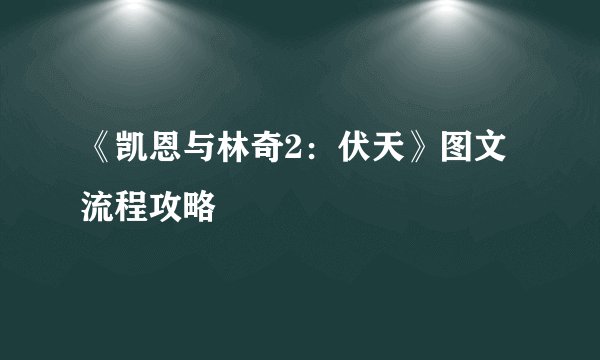 《凯恩与林奇2：伏天》图文流程攻略