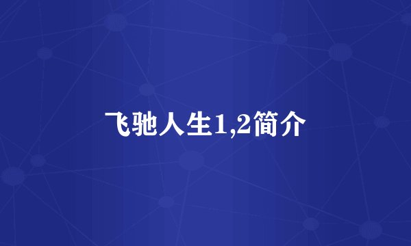 飞驰人生1,2简介