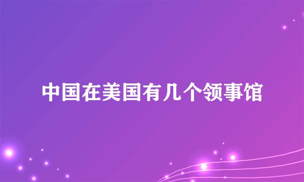 中国在美国有几个领事馆
