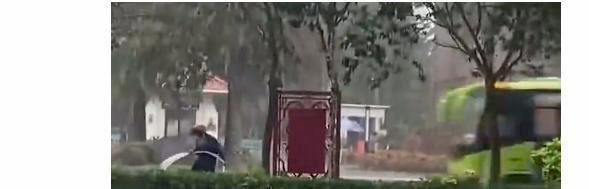 绿化员工雨天给大树浇水引热议！部门回应：不是给树浇水，是施肥