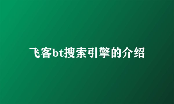 飞客bt搜索引擎的介绍