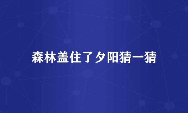 森林盖住了夕阳猜一猜