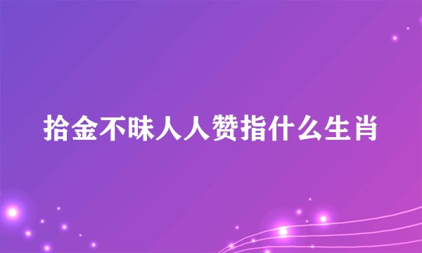 拾金不昧人人赞指什么生肖