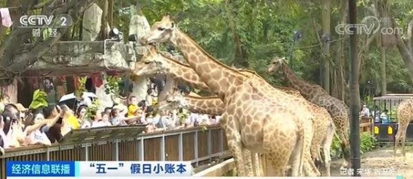4口之家亲子游花费约2万 这是咋情况？