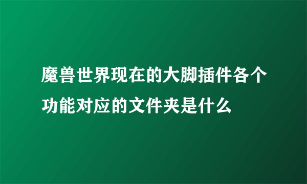 魔兽世界现在的大脚插件各个功能对应的文件夹是什么