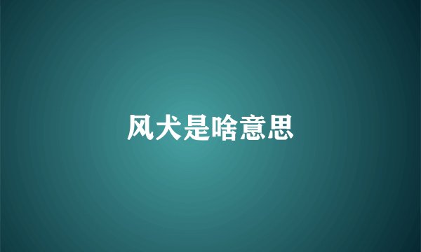 风犬是啥意思