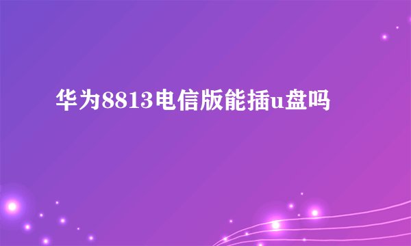 华为8813电信版能插u盘吗
