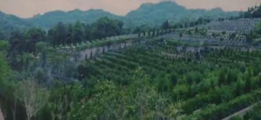 官方回应老人18元一日游被带往墓地 这是咋情况？