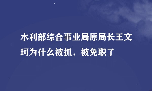 水利部综合事业局原局长王文珂为什么被抓，被免职了