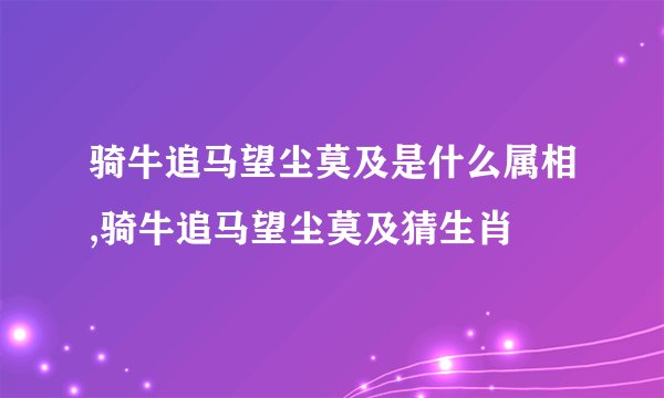 骑牛追马望尘莫及是什么属相,骑牛追马望尘莫及猜生肖