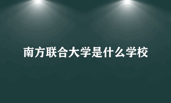 南方联合大学是什么学校