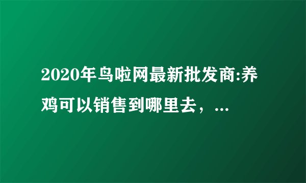 2020年鸟啦网最新批发商:养鸡可以销售到哪里去，养鸡怕没有销路怎么办呢？