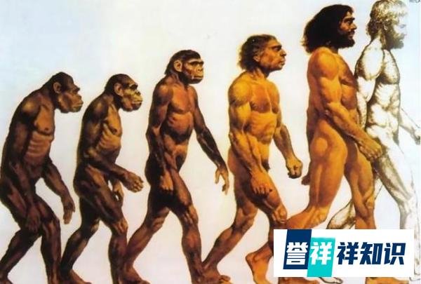 人类并非来自地球？科学家找到“证据”：地球其实是一座监狱
