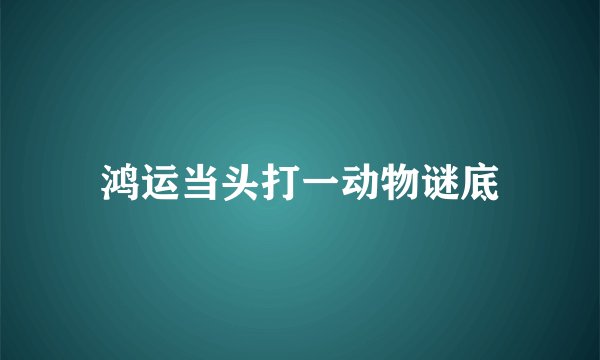 鸿运当头打一动物谜底