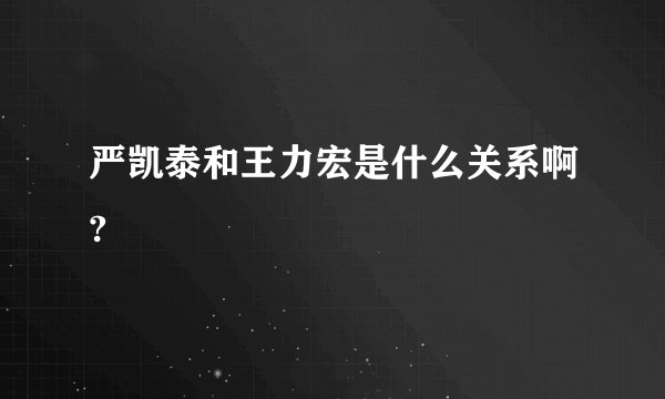 严凯泰和王力宏是什么关系啊?