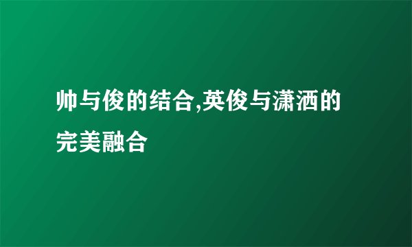 帅与俊的结合,英俊与潇洒的完美融合